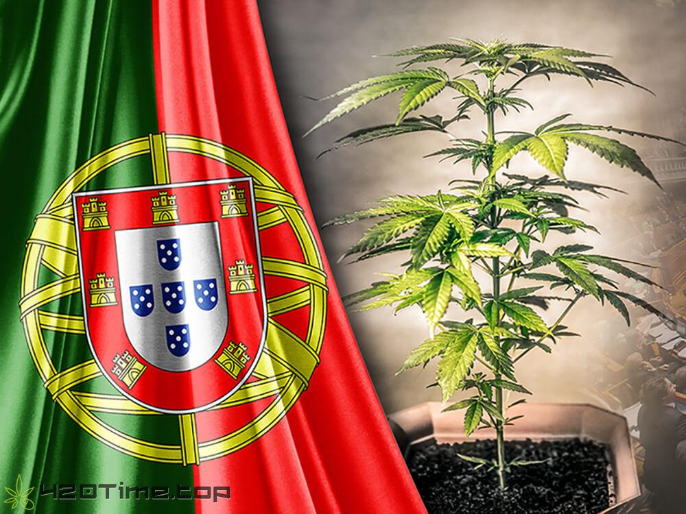 Легализация наркотиков в Португалии