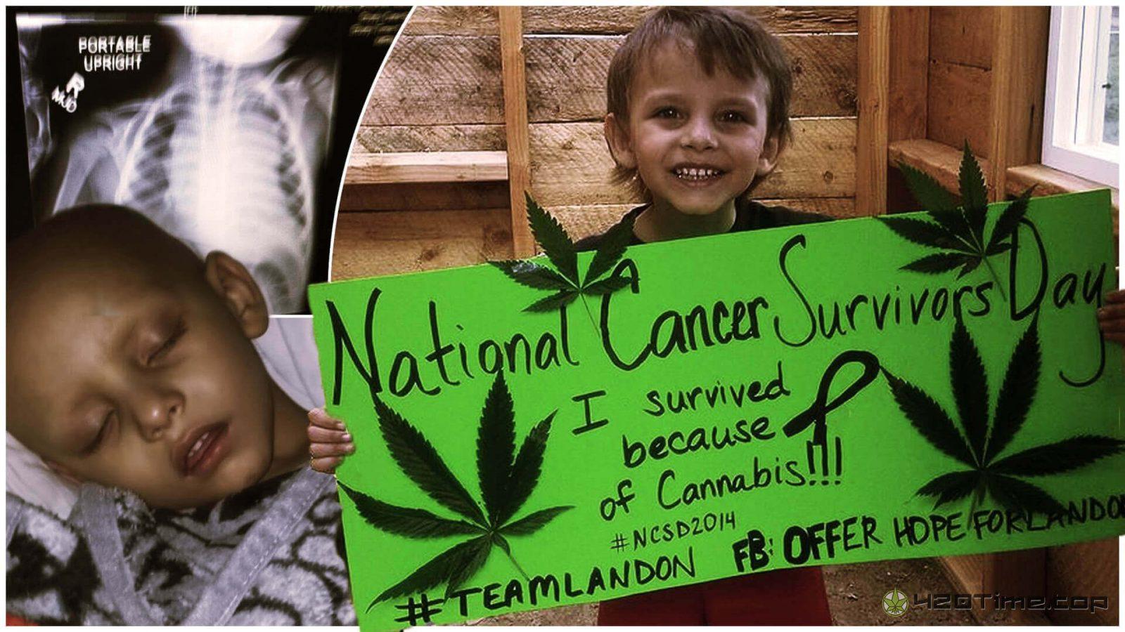 марихуана лечит рак