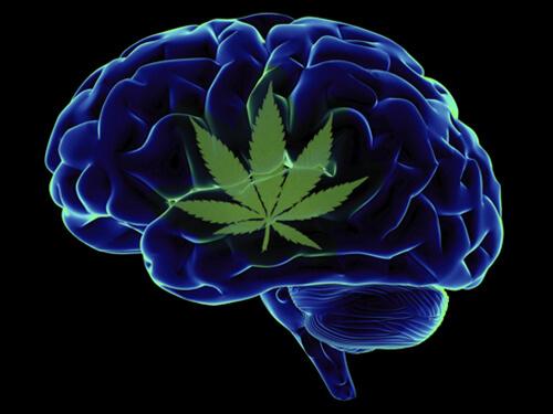 Воздействие марихуаны на мозг