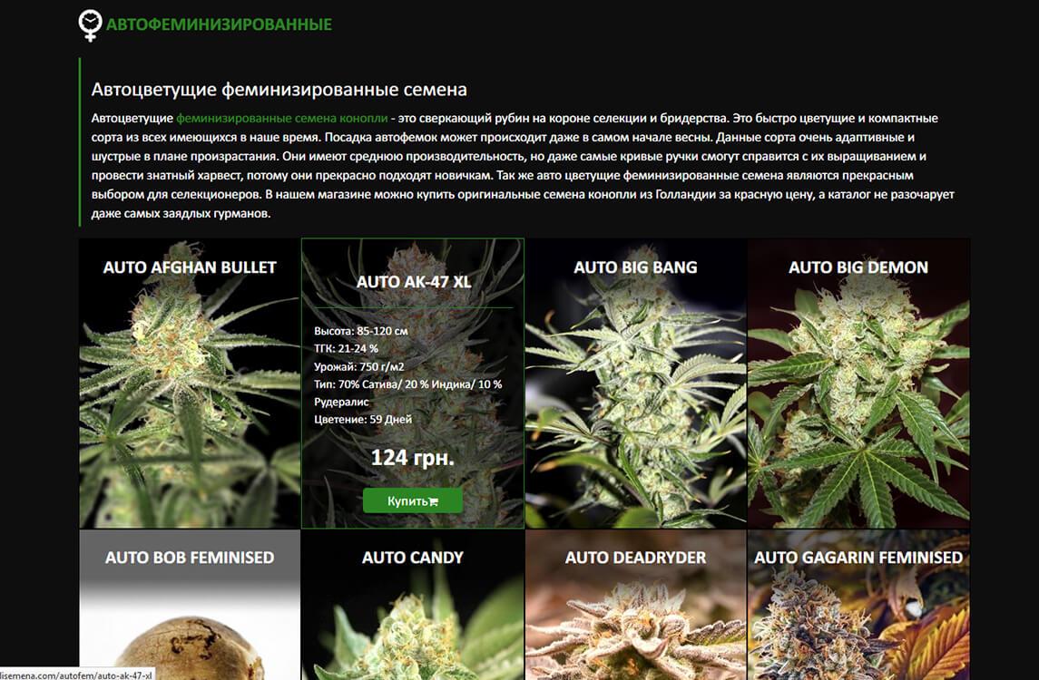 Заказать из голландии семена марихуаны darknet tutorial gydra