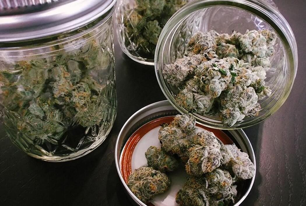 Хранить марихуану в морозилке цвет высушенной конопли