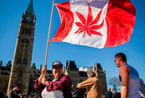 легалайз канада марихуана