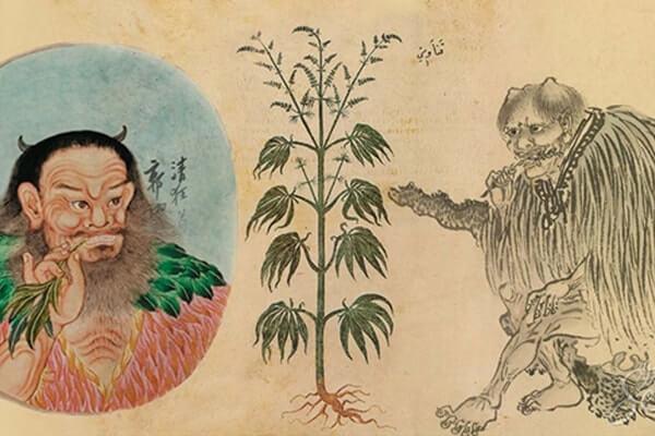 конопля история древность марихуана китай