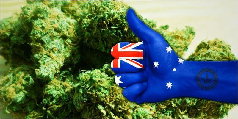 легализация конопли в Австралии