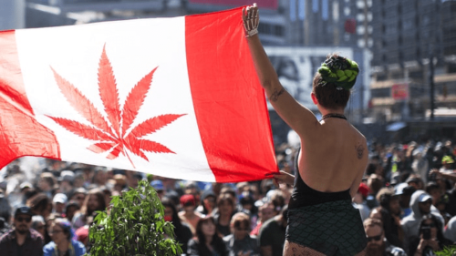 Легализация марихуаны в Канаде