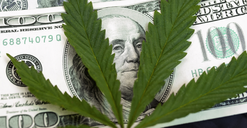 Инвестиции в марихуану