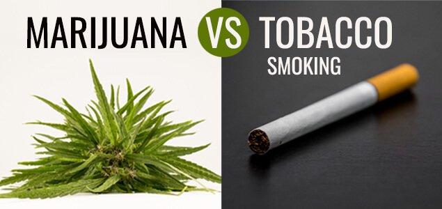 Табак против марихуаны
