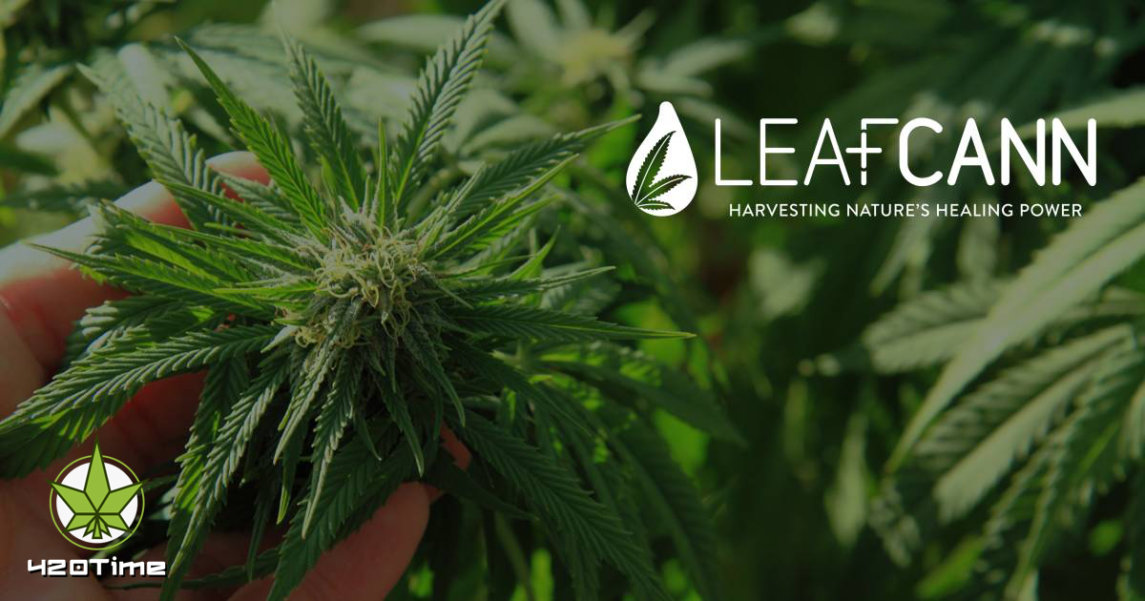 Лицензия LeafCann на выращивание каннабиса