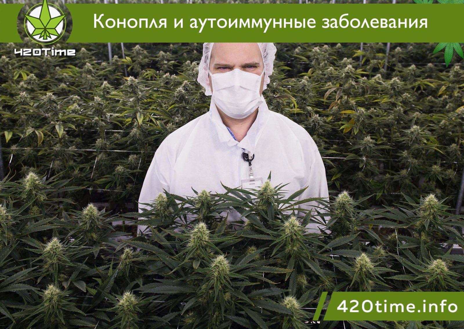 Марихуану в медицине задержание с марихуаной в урюпинске