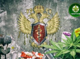 Наркоконтроль России