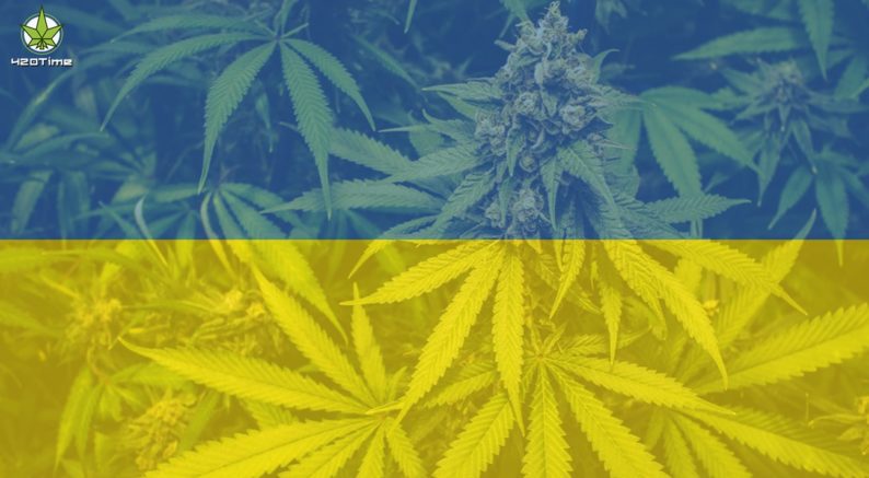 Легализация конопли в Украине