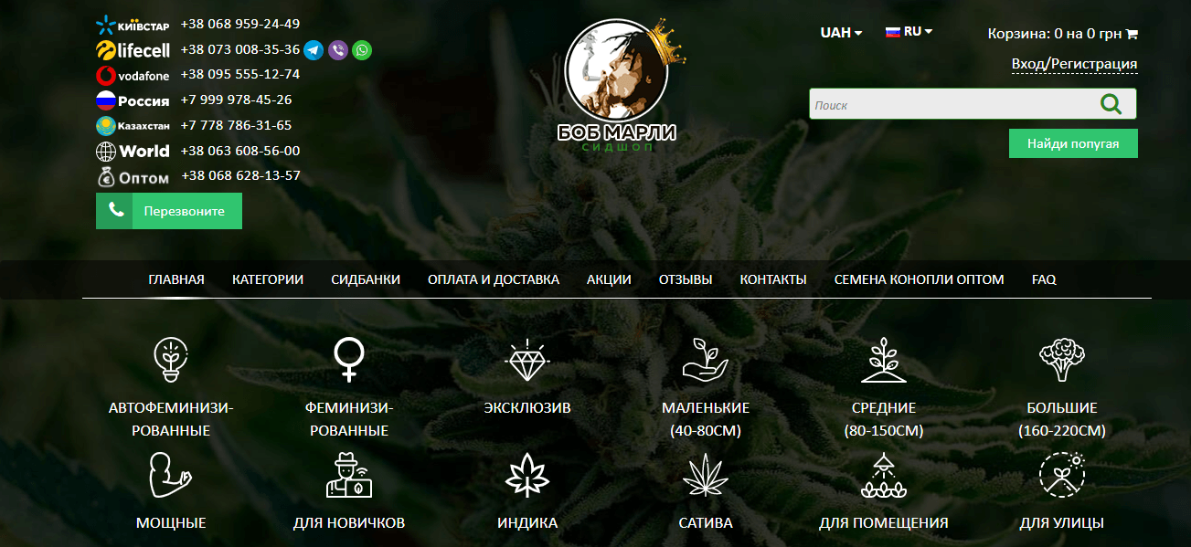 Магазин Боб Марли Купить Семена Конопляные Магазин Боб Марли Купить Семена Конопляные