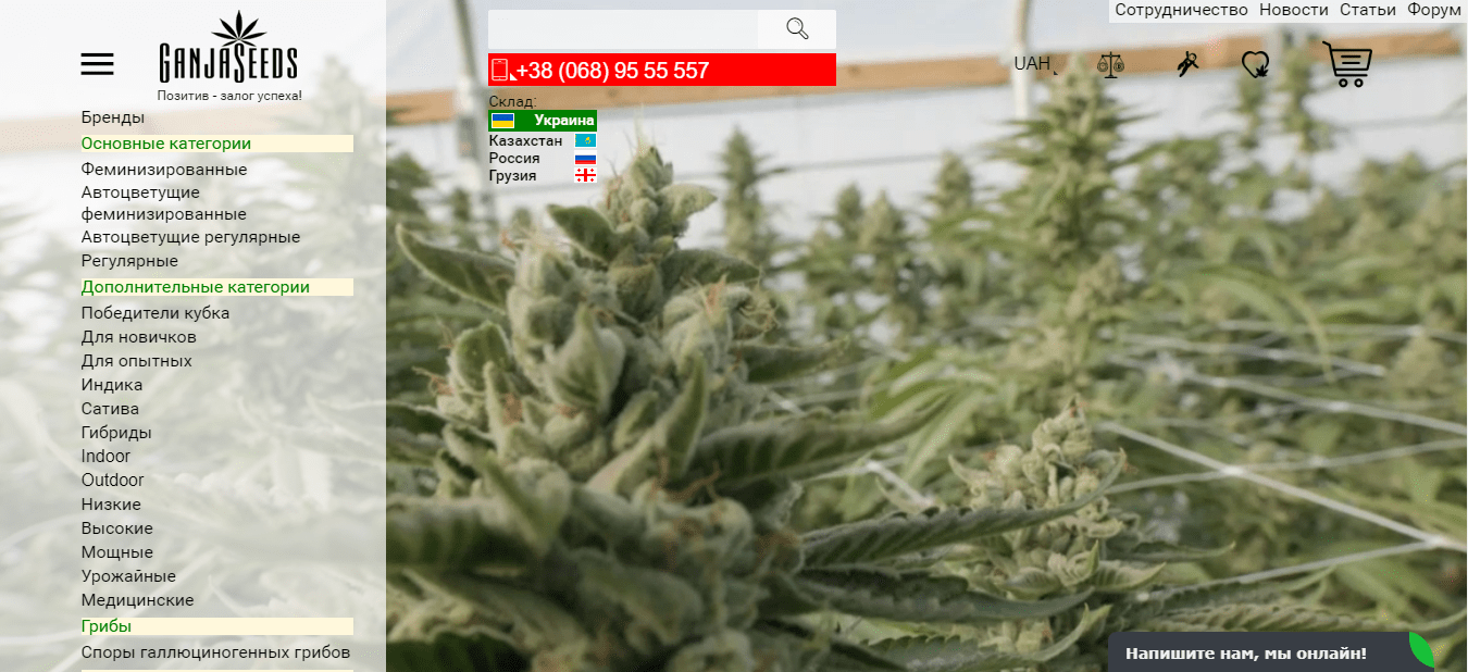 Отзывы о магазинах семян марихуаны скачать интернет браузер тор hydraruzxpnew4af
