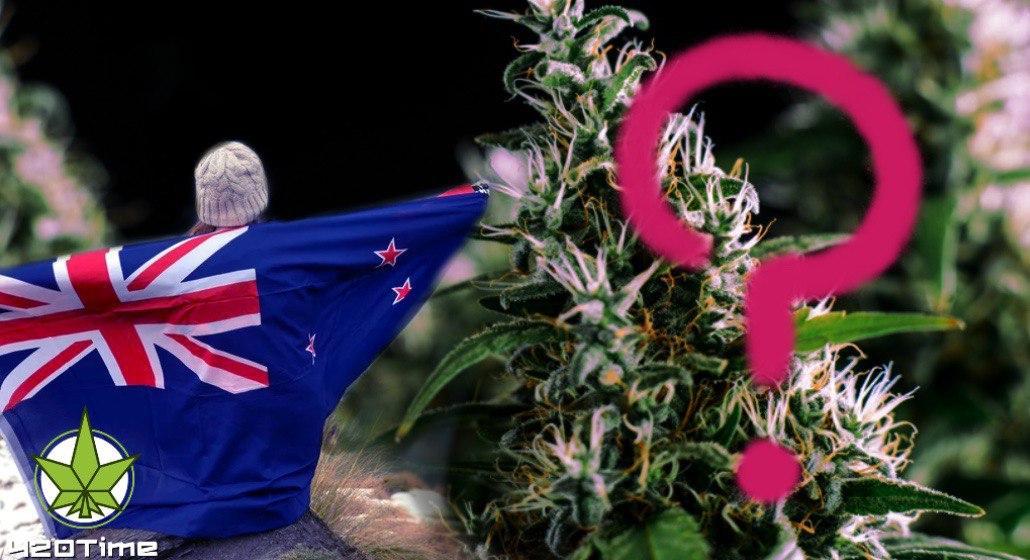 Легализация марихуаны в Новой Зеландии