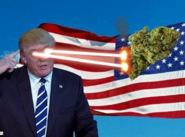 Президент Америки и легализация марихуаны