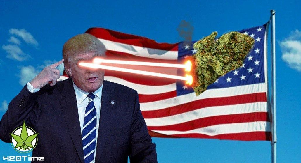 Президент Америки и легализация марихуаны