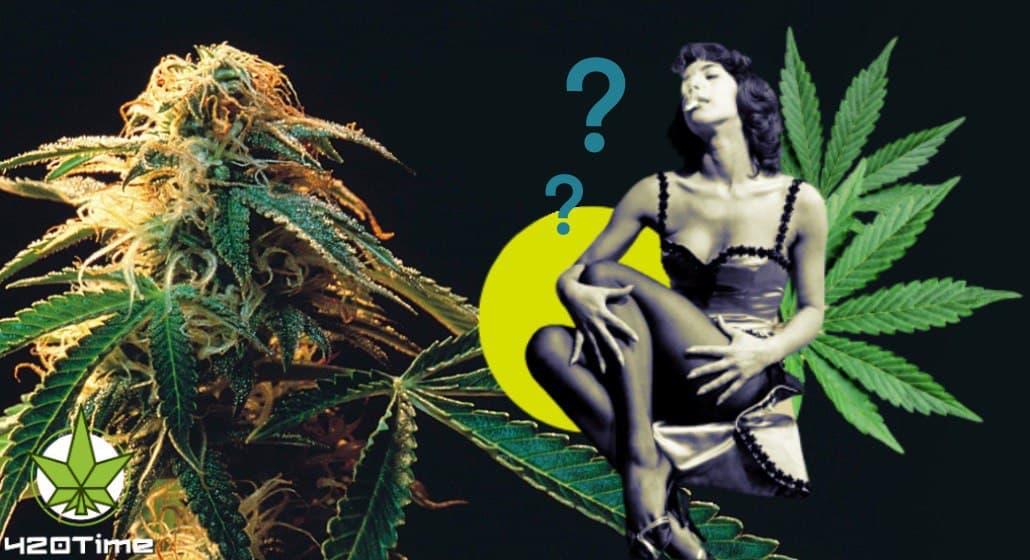 факты о марихуане и женщинах
