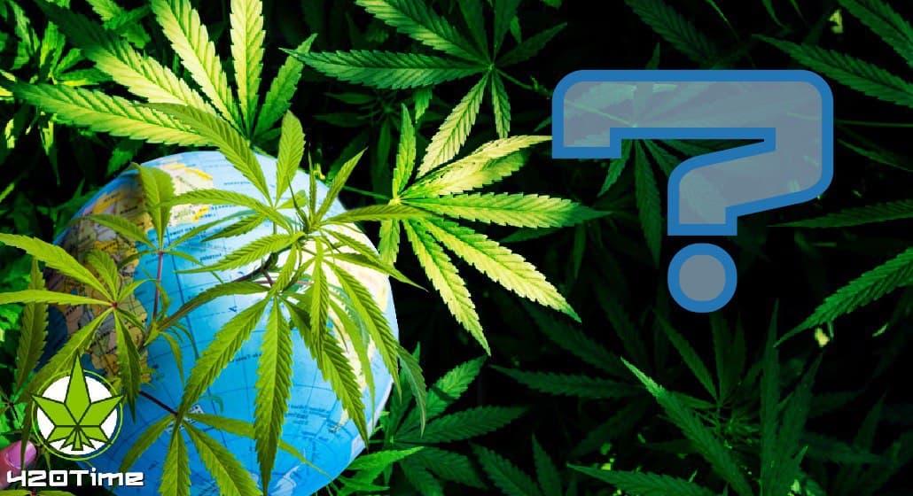 сайт легализация марихуаны