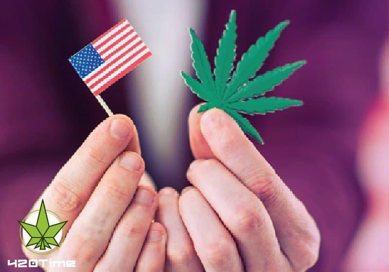 марихуана в Америке