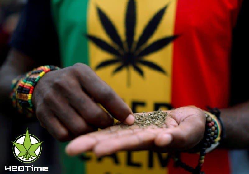 легализация марихуаны в Южной Африке