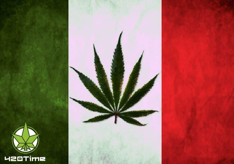 легализация марихуаны в Италии