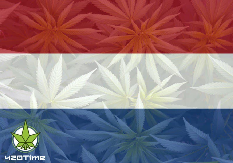 легализация марихуаны в Нидерландах