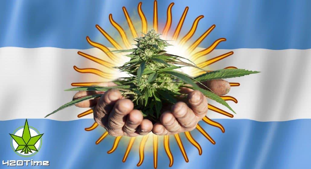 выращивание марихуаны легально в Аргентине