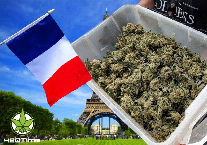поставки марихуаны во Франции