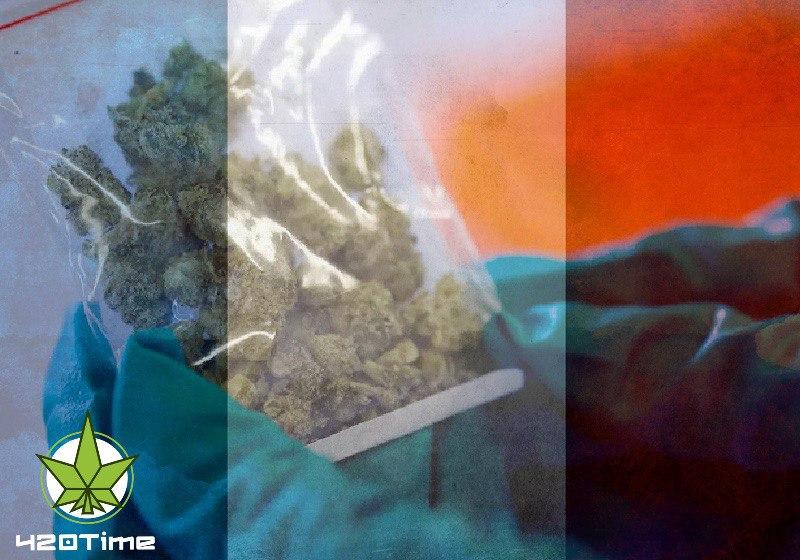 статус марихуаны во Франции