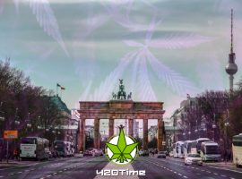 Берлин на фоне марихуаны. Конполя в Германии