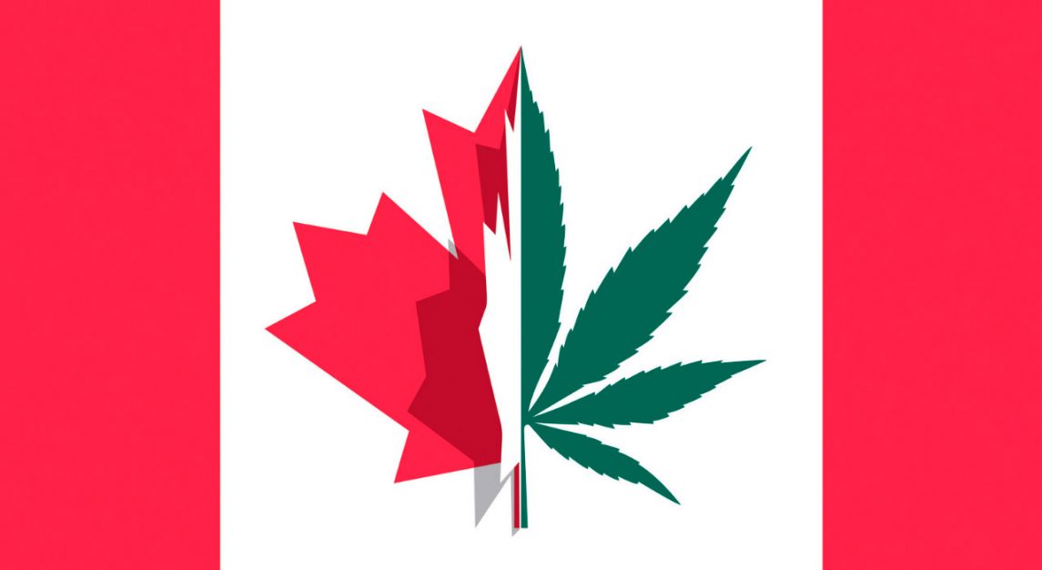 Флаг Канады с листом каннабиса
