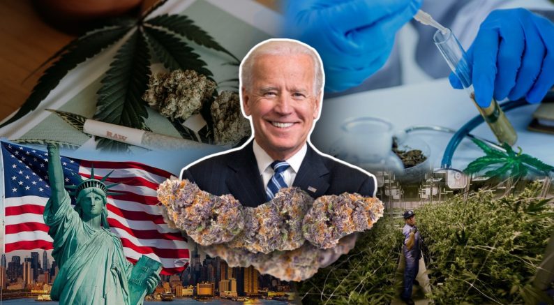 Байден и легализация марихуаны в США