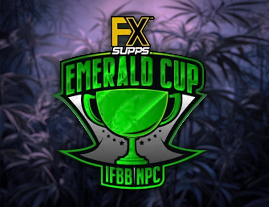 Emerald Cup в Калифорнии